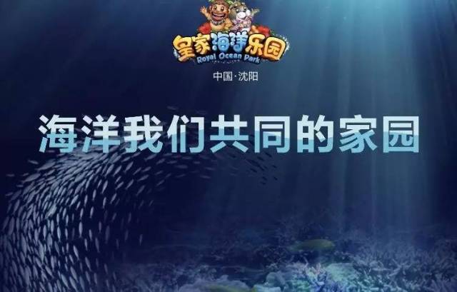 大海热线最新一期节目，探索海洋的奥秘与魅力