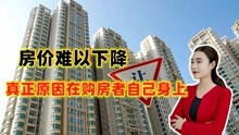 孝感华隆佳盛最新消息全面解读